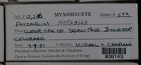 Image Associated With the Occurence